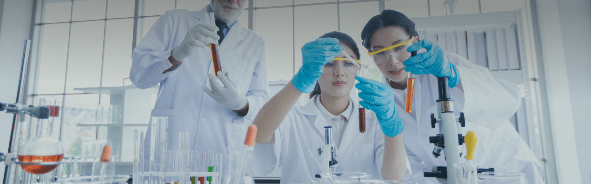 ������Ȧ(�й�����)-Ϊdu����